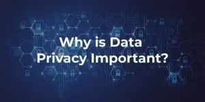 Read more about the article The Importance of Data Privacy in the Digital Age