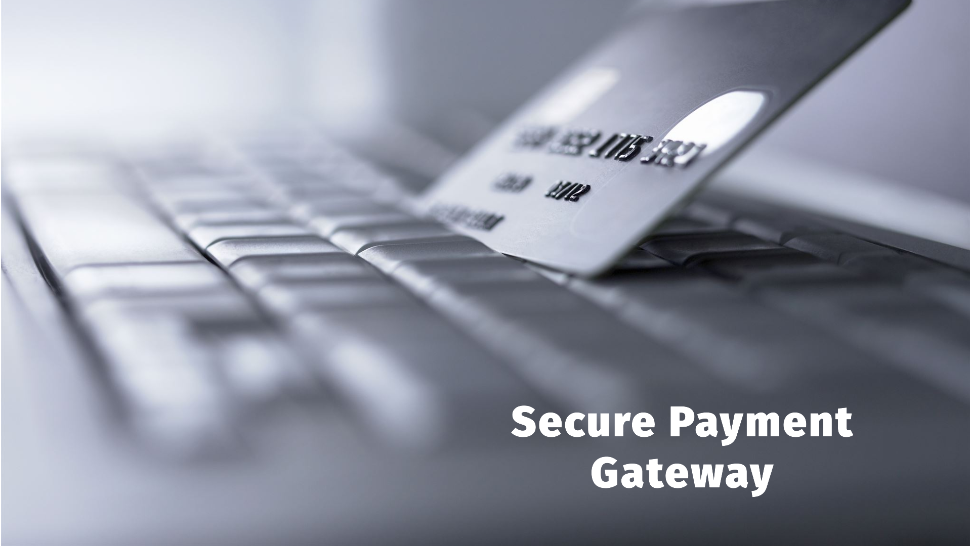 Read more about the article Building a Secure Payment Gateway with Node.js and TypeScript Using SeerBit