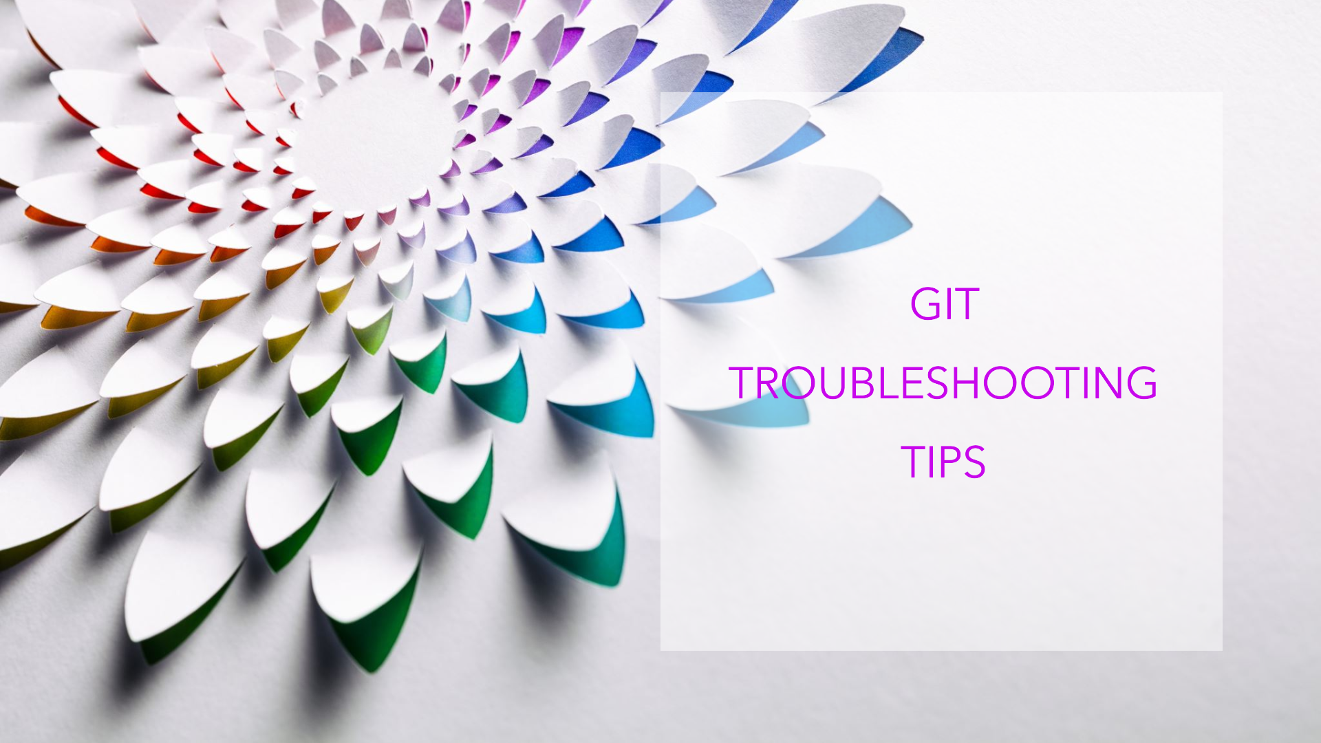 How to Resolve "Reinitialized Existing Git Repository" and Permission Denied Issues in Git